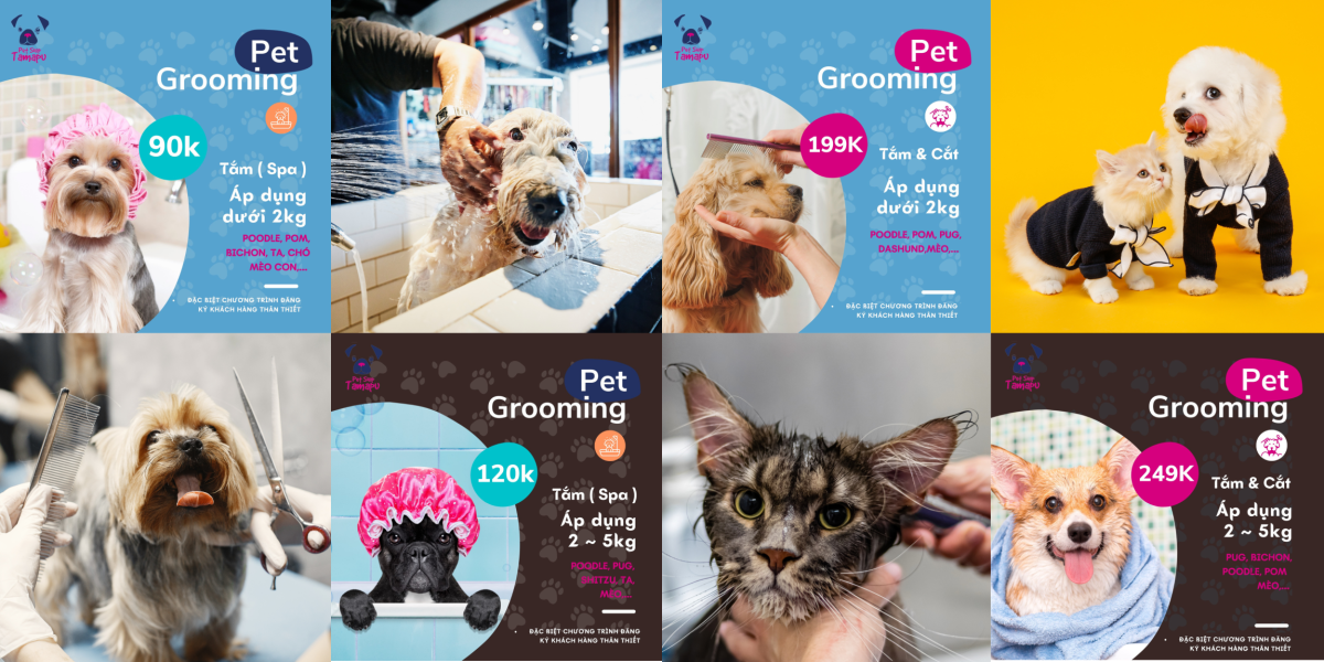 Cắt cạo lông thú cưng mang đến nhiều lợi ích cho chúng